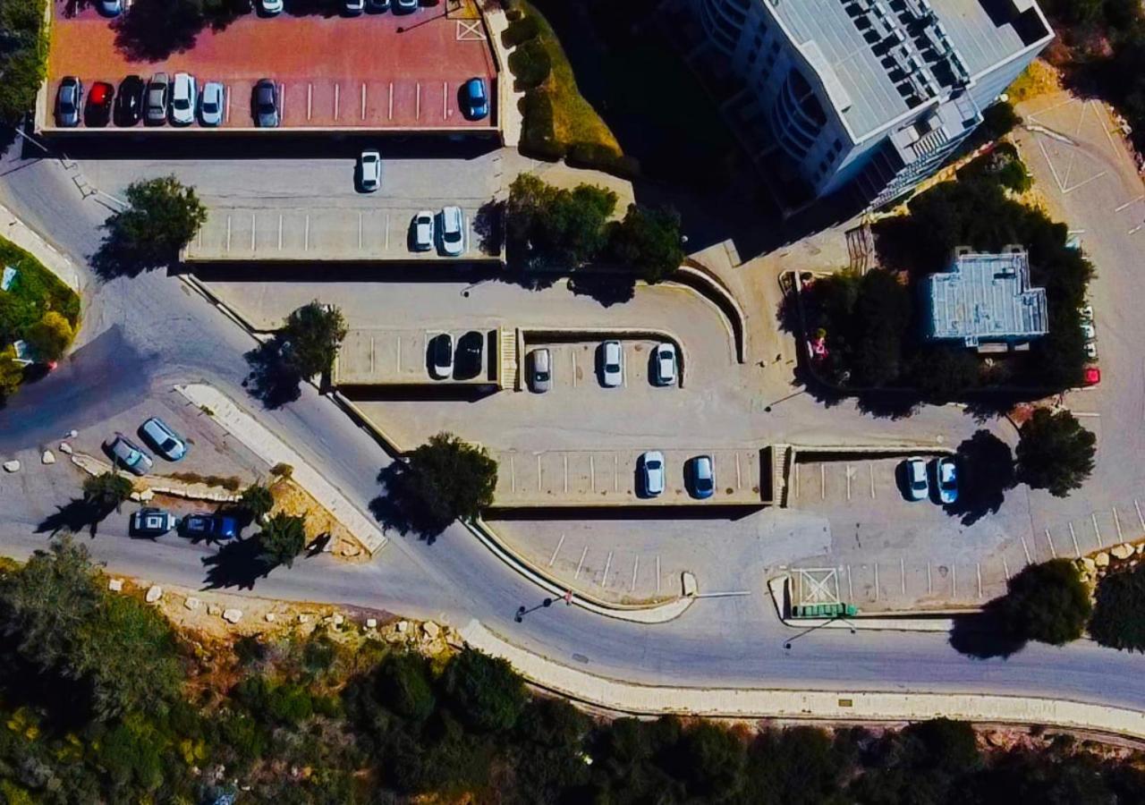 Pisgat שורש מראה חיצוני תמונה