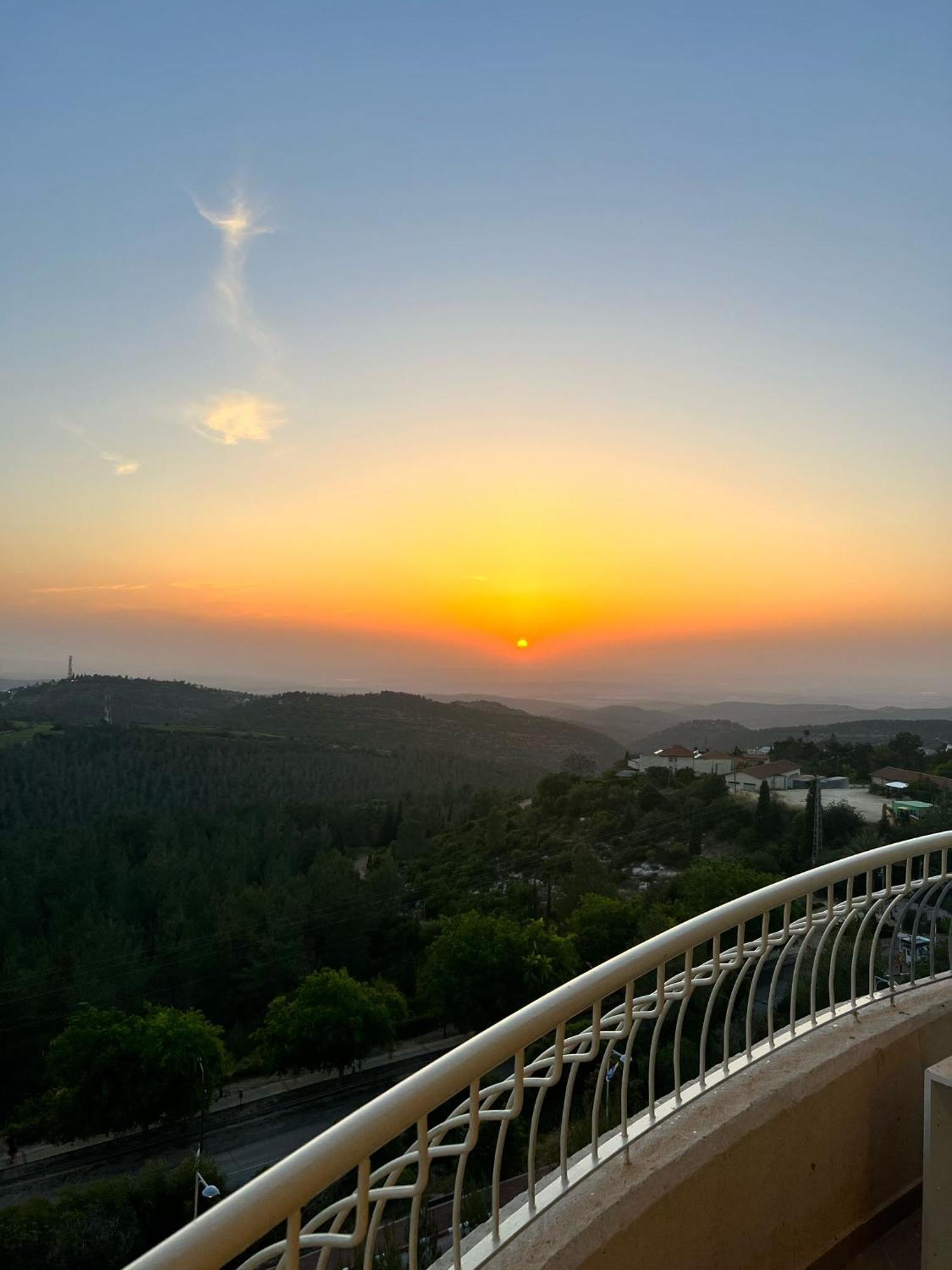 Pisgat שורש מראה חיצוני תמונה