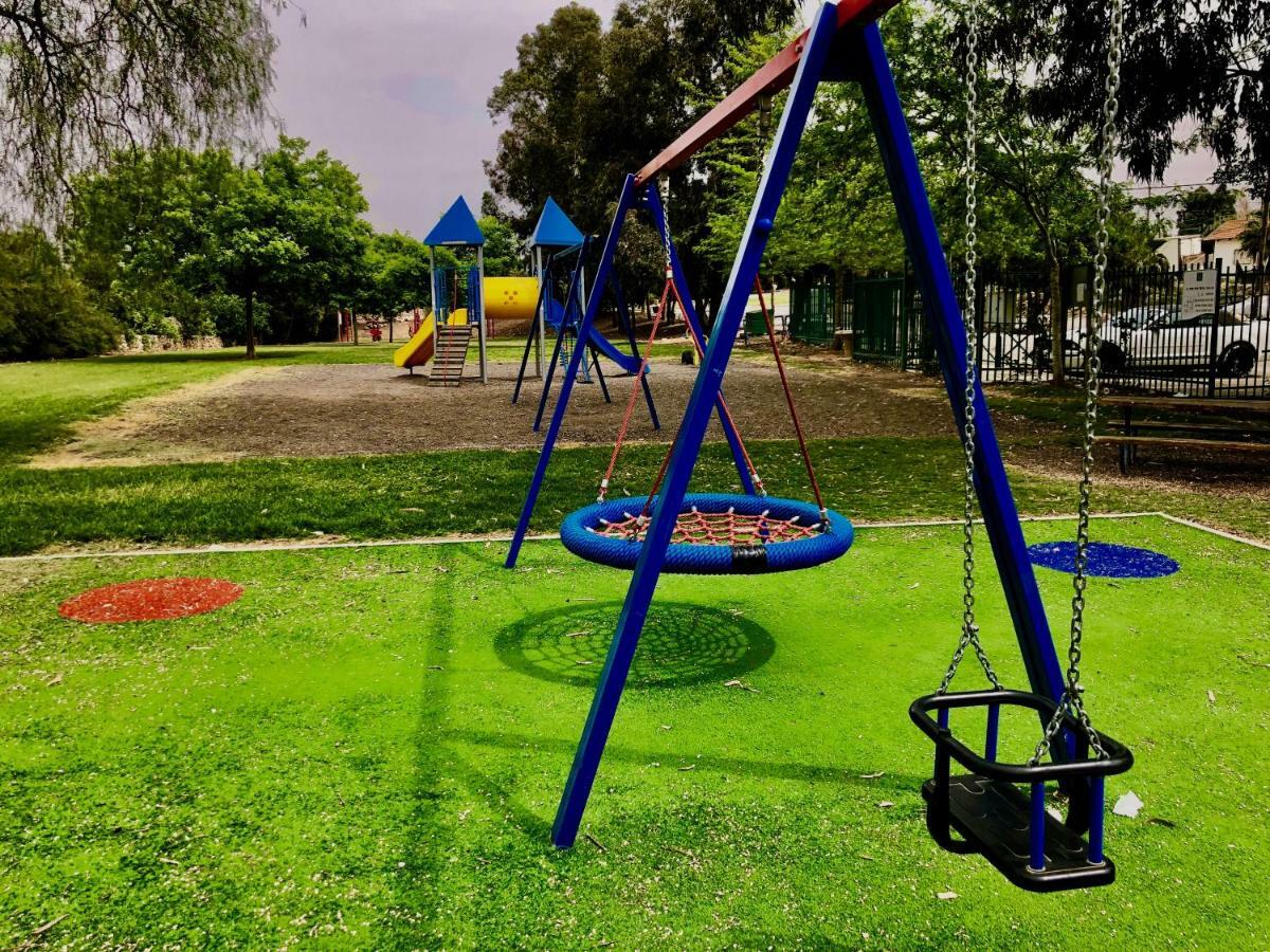 Pisgat שורש מראה חיצוני תמונה