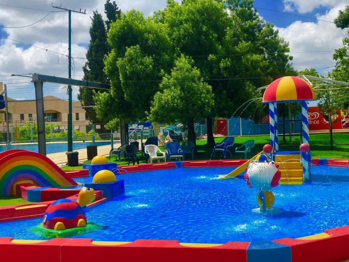 Pisgat שורש מראה חיצוני תמונה